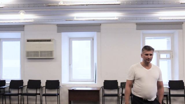 Метавитоника