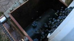 Соковыжималка для винограда