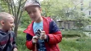 Как разбить телефон 4 способа 1 часть