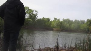 Ловля карася на манку