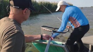 Ловля судака на джиг. Астрахань, Главный банк. 2019 г.