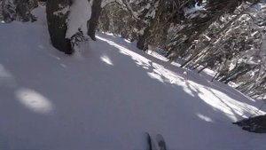 Лучшие лыжи для фрирайда. Купил в Спортмастере?