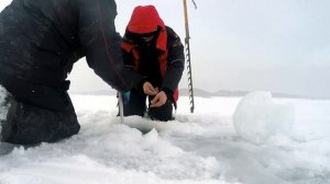 Особенности Сахалинской крабалки(features of the Sakhalin crab hunting )