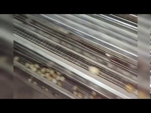 мини обзор моей фермы. тележка для сбора перепелинного помета