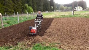 Культивация фрезами, рядки окучником под картошку, брайт 135.