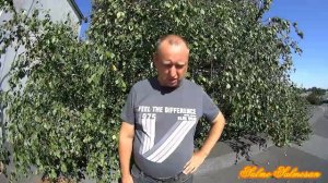 НОВОЕ Сетополотнище . Тайник - для ловли певчих птиц.