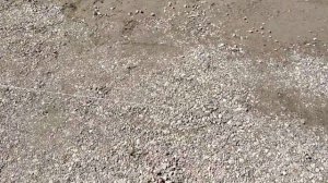 Разметка под опалубку. Нюансы.