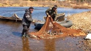 традиционный лов корюшки. Камчатка. с. Ковран.