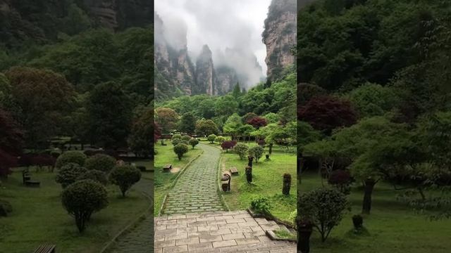 Zhangjiajie National Forest Park(张家界)