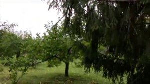 Пюхтицкий монастырь