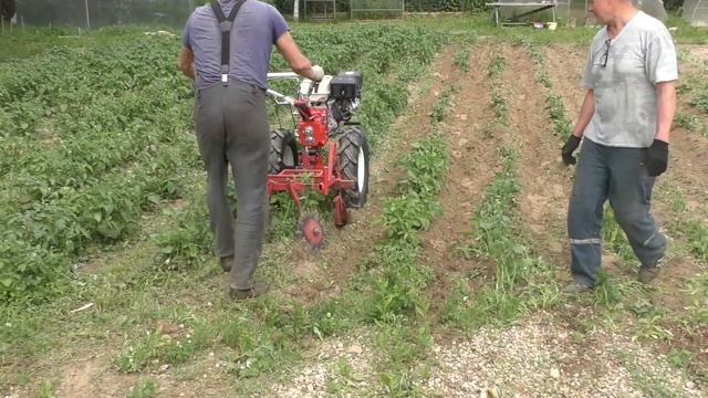 Мотоблок | Окучивание картошки ежами | Модернизация агрегата прошлого сезона смотреть онлайн