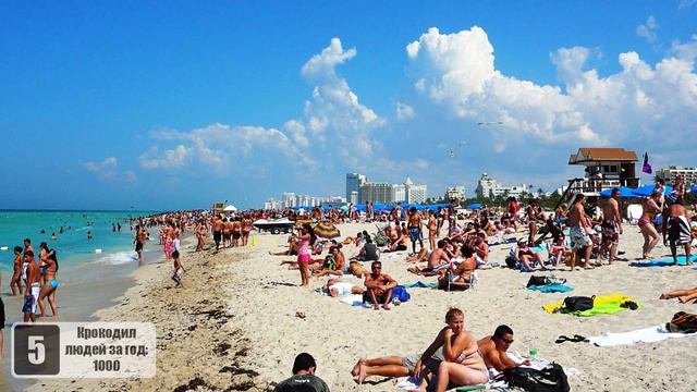 ТОП 10 САМЫХ ОПАСНЫХ ТВАРЕЙ, КОТОРЫЕ РЕАЛЬНО СУЩЕСТВУЮТ НА ПЛАНЕТЕ