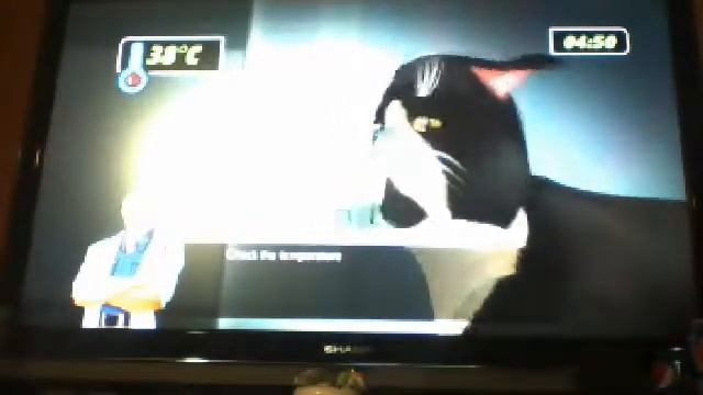 Let's Play Petz Rescue Wildlife Vet Part 3 смотреть онлайн