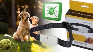 Средства защиты от блох и клещей  | ЧЕМ ОБРАБОТАТЬ СОБАКУ И КАК ПРАВИЛЬНО ВЫБРАТЬ ПРЕПАРАТ?