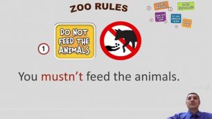 4 класс. Урок 27 "Zoo Rules!" (урок 8b, модуль 4 "At the Zoo!") по учебнику Spotlight стр.63-64