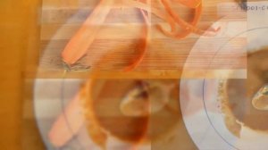 Капуста пак чой в пряном соусе