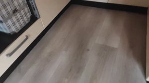 Как отучить собаку писать дома