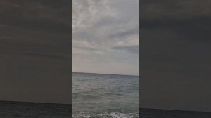 Гордо Реет Буревестник над Седой Равниной Моря!!!