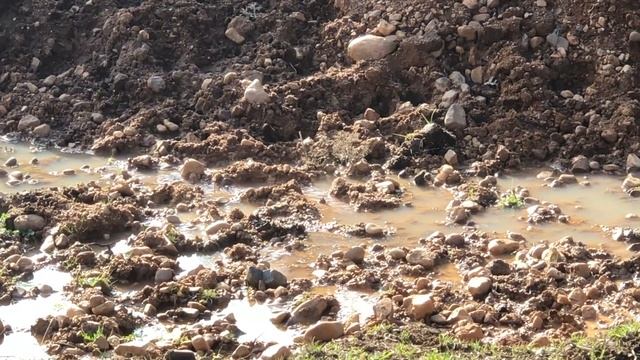 2020 December at Granja Caimito смотреть онлайн