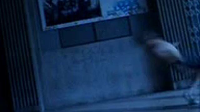 CHINESTA смотреть онлайн