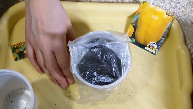 Рассада без заморочек. Супер простой способ выращивания рассады
