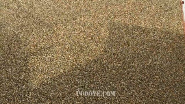 Каменен килим смотреть онлайн