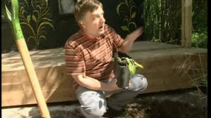 Советы Андрея Туманова