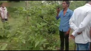 Jangal Me Mangal Karte Huwe Pakde Gaye Part 2