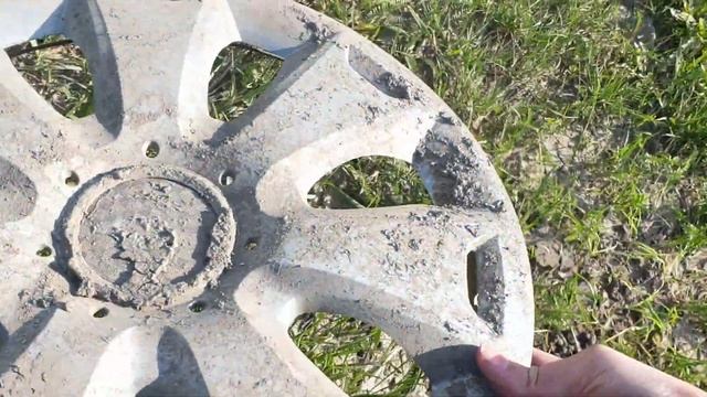 Полезные находки вдоль трассы на обочине