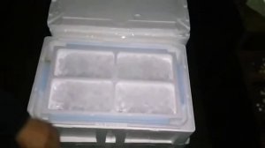 Начало инкубации оплодотворённой икры радужной Форели!