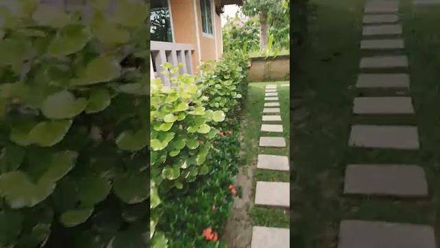 🏡дома в аренду на пляже Маенам , Самуи Таиланд