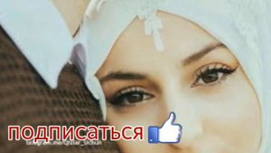 Муфтий Менк | Жена на первом месте | Семейные отношения в Исламе