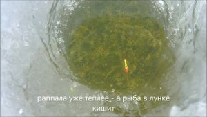 Рыбалка щуки на балансир в апреле Малое миассово рыболовный гид южного урала