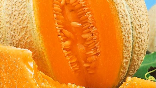 Польза дыни - это интересно знать смотреть онлайн