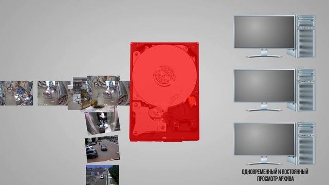 Скорость записи на HDD. Суслики IP видеонаблюдения смотреть онлайн