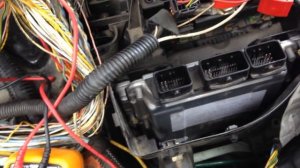 Пежо 307 2.0л Дизель. Обрыв провода датчика давления рампы.