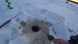 ЗИМОВЬЕ. ЗЕМЛЯНКА. ИЗБА. РЫБАЛКА. ТАЁЖНЫЙ БЫТ. ЖИЗНЬ В ЛЕСУ.