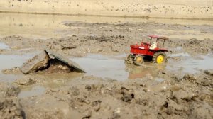 Грузовики с древесиной на бездорожье