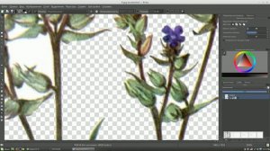 Работа с растровыми изображениями: очистка фона 1