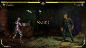 Mortal Kombat 11 - Terminator vs Frost (VERY HARD)