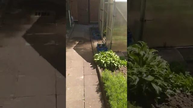 На даче , папы праздник !!!(5) смотреть онлайн