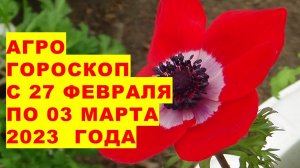 Агрогороскоп с 27 февраля по 03 марта 2023 года. Агрогороскоп з 27 лютого до 03 березня 2023 року