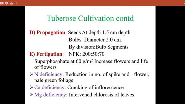 Floriculture смотреть онлайн