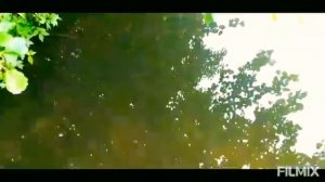 Озеро Холерное, рыбалка, отдых,  Бузулукский бор.