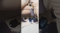Марафон "Геометрия и графика" Задание 2