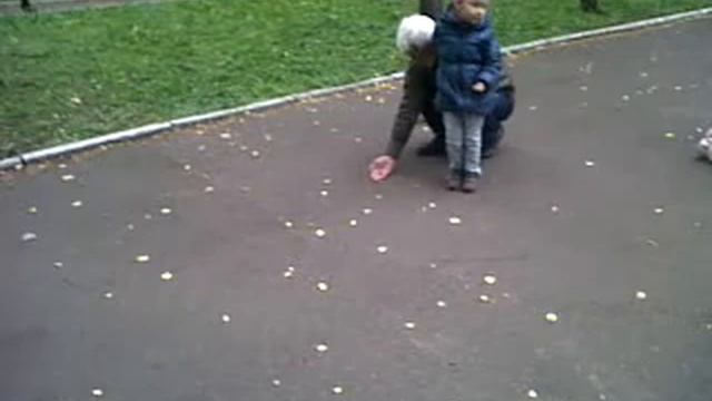 Белки в парке Горького смотреть онлайн