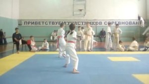 Ката по коротэ