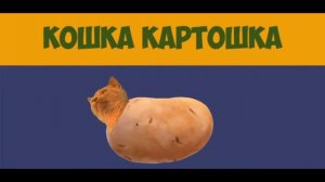 кошка картошка
