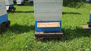 4 июля. Один день главного взятка