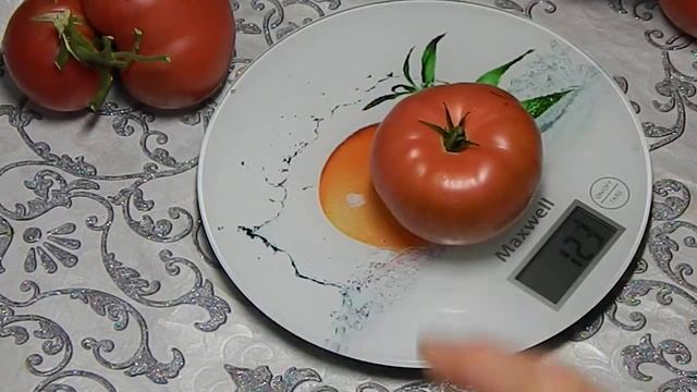 Томат Дора. Тест зрелых плодов. смотреть онлайн